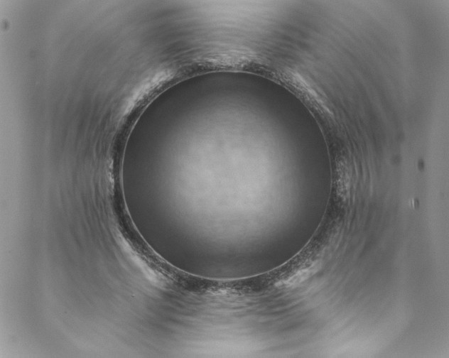 X0000088600634200706081354