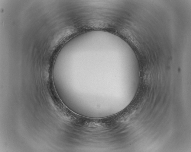 X0000088600635200706081354