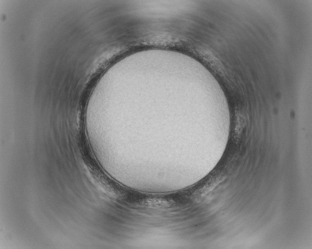 X0000088600636200706081354