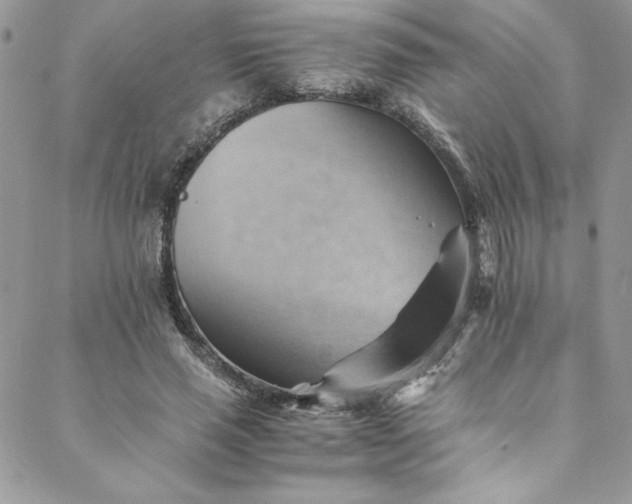 X0000088600637200706081354