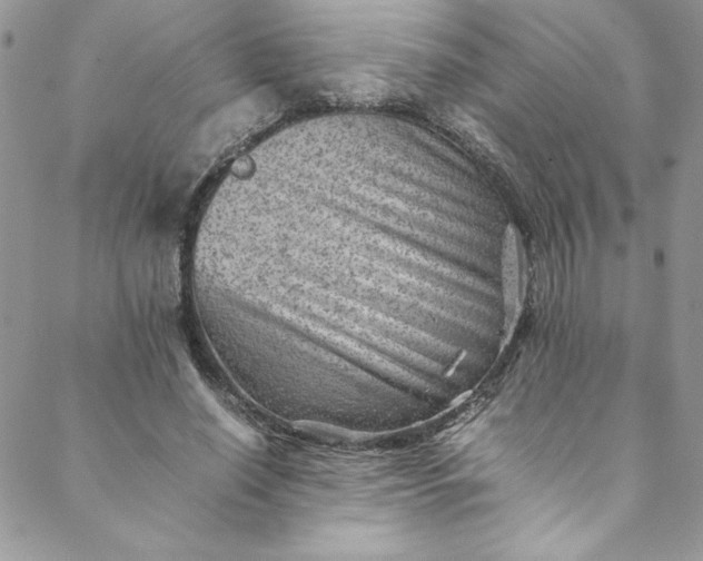 X0000088600638200706081354