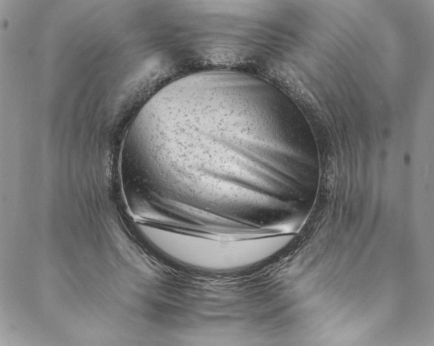 X0000088600639200706081354