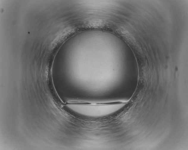 X0000088600640200706081354