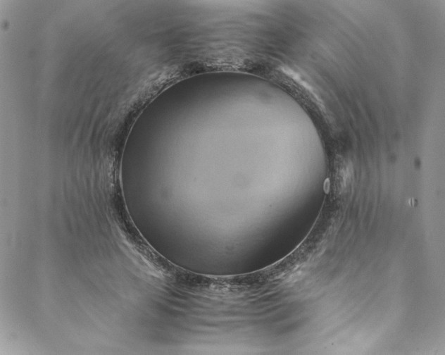 X0000088600641200706081354