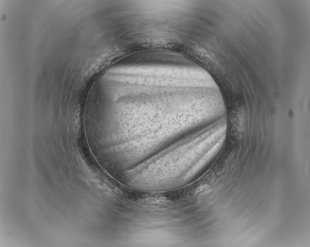 X0000088600642200706081354