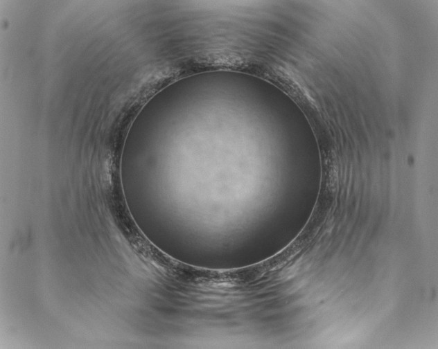 X0000088600643200706081354