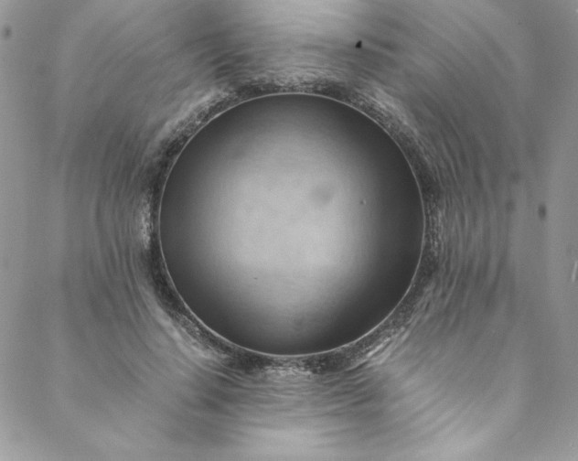 X0000088600644200706081354