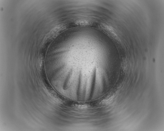 X0000088600645200706081354