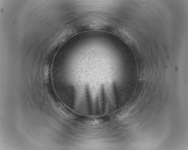 X0000088600646200706081354