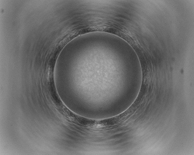 X0000088600647200706081354