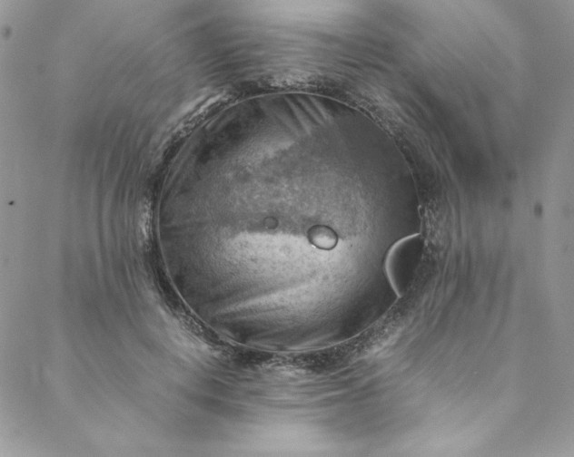 X0000088600648200706081354