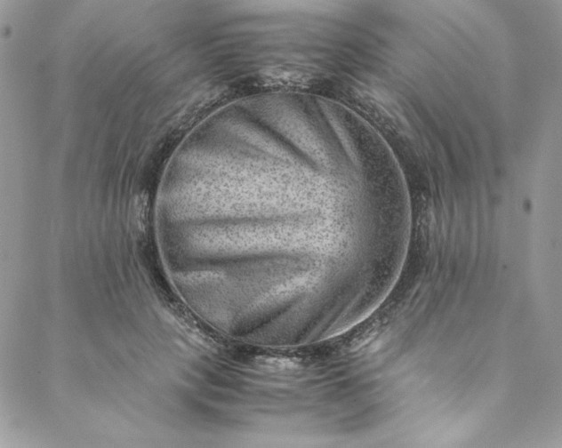 X0000088600649200706081354