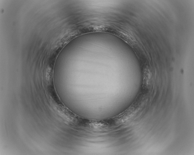 X0000088600650200706081354