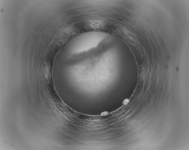 X0000088600651200706081354