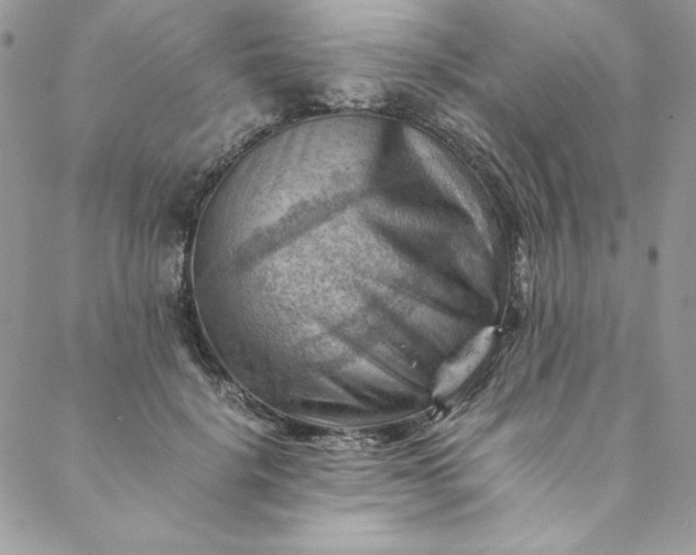 X0000088600652200706081354