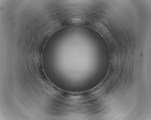 X0000088600653200706081354