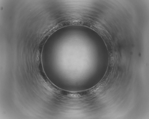 X0000088600654200706081354