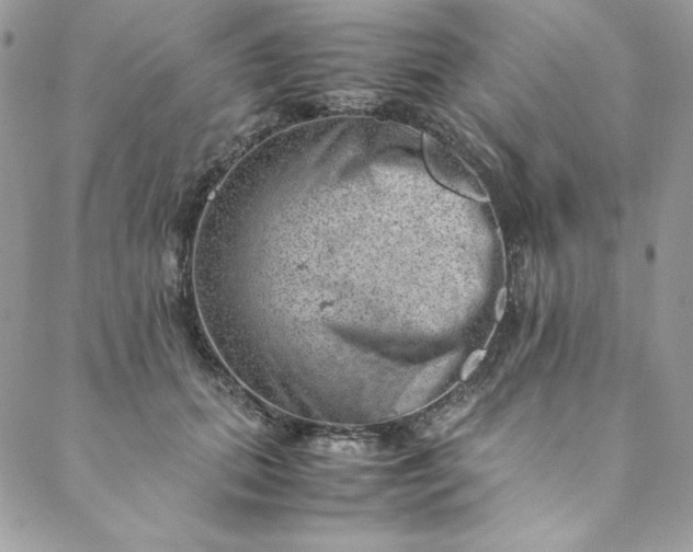 X0000088600655200706081354