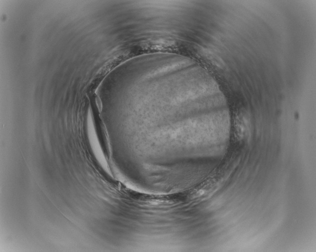 X0000088600657200706081354