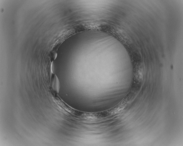 X0000088600658200706081354