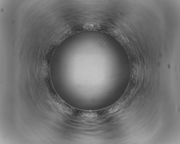 X0000088600659200706081354