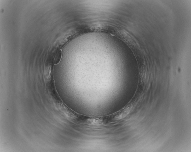 X0000088600660200706081354