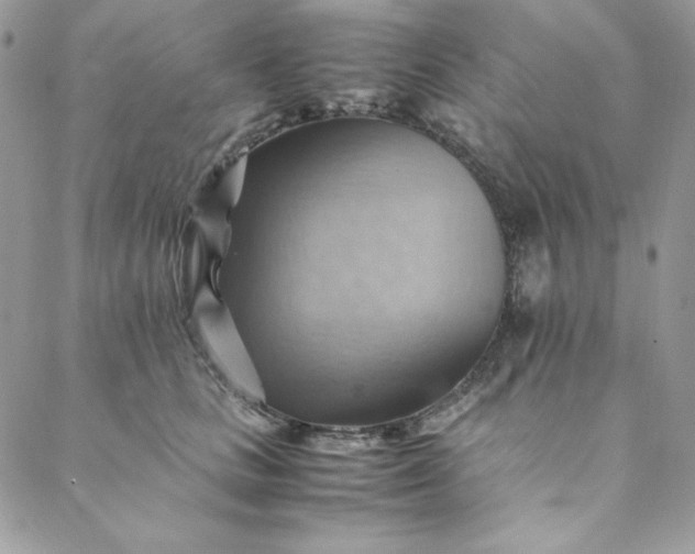 X0000088600661200706081354