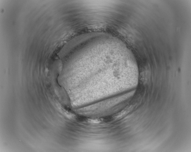 X0000088600662200706081354