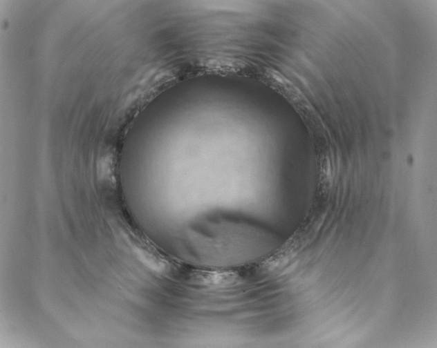 X0000088600663200706081354