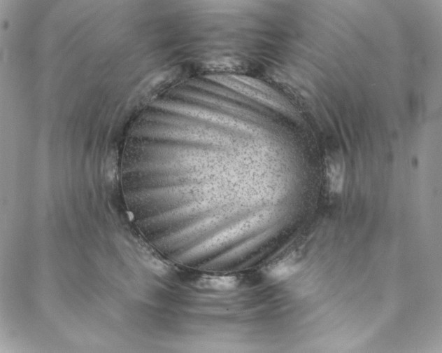 X0000088600665200706081354