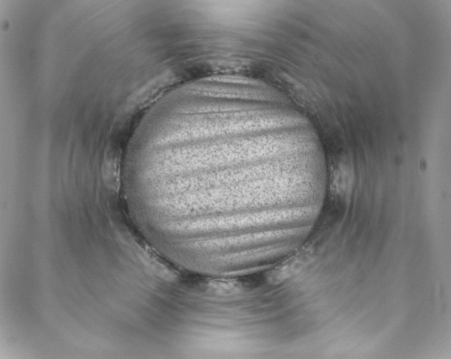 X0000088600666200706081354