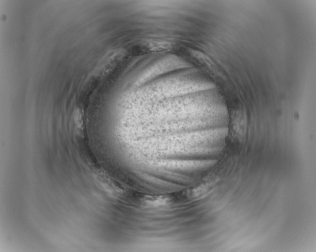 X0000088600667200706081354