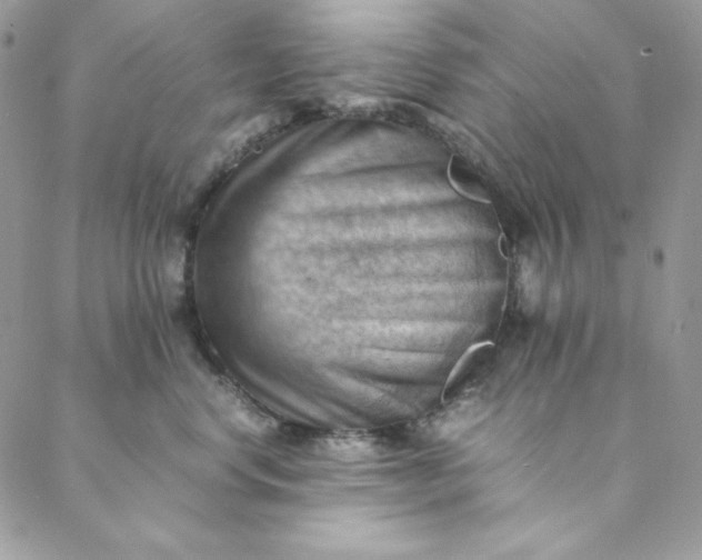 X0000088600668200706081354