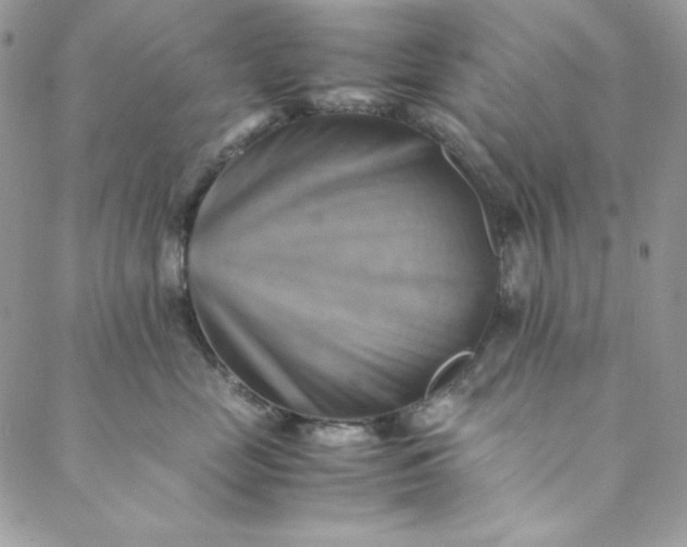 X0000088600669200706081354