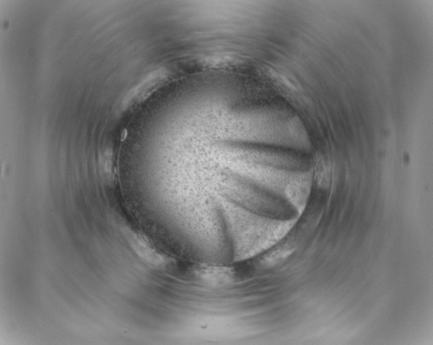 X0000088600670200706081354