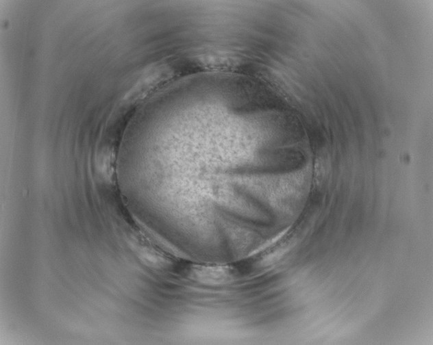 X0000088600671200706081354