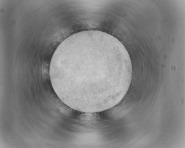 X0000088600672200706081354