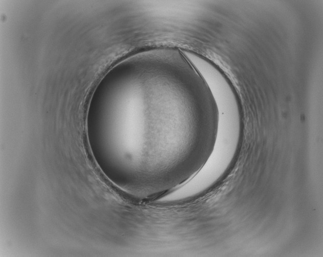 X0000088600673200706081353