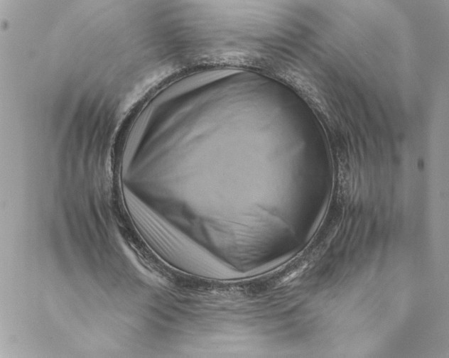 X0000088600674200706081353