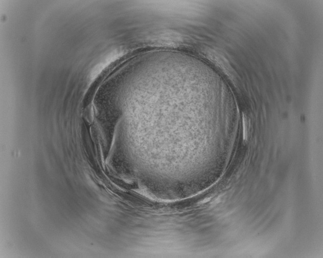 X0000088600675200706081353