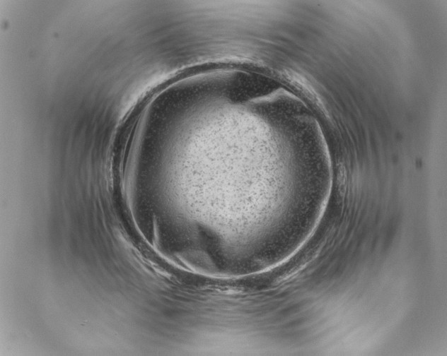 X0000088600676200706081353