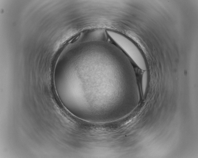 X0000088600677200706081353