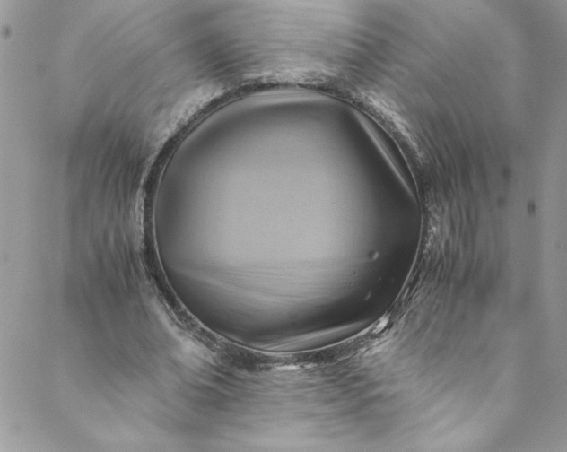 X0000088600678200706081353