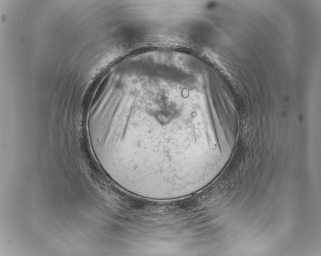 X0000088600679200706081353