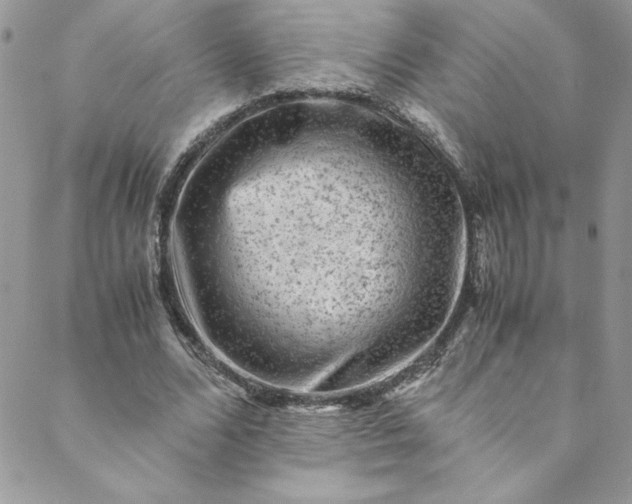 X0000088600680200706081353