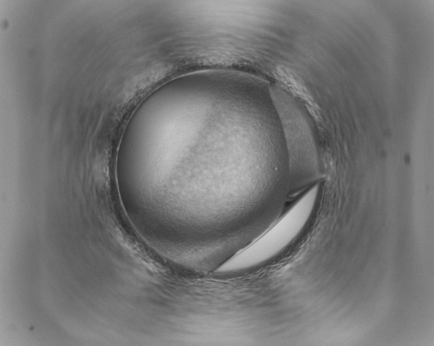 X0000088600681200706081353