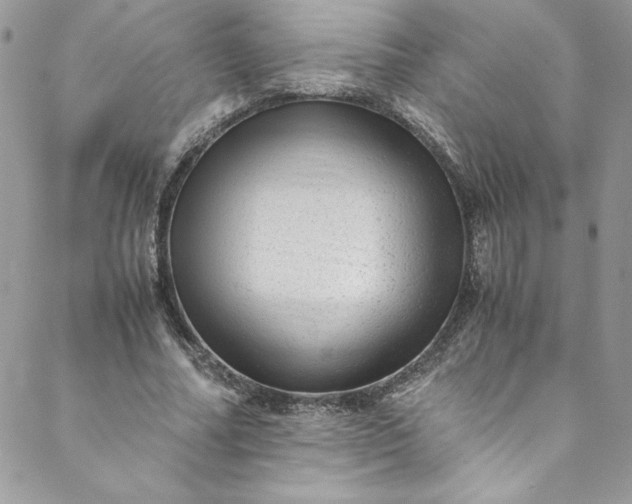 X0000088600682200706081353