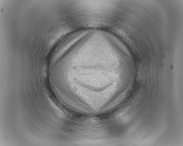 X0000088600683200706081353