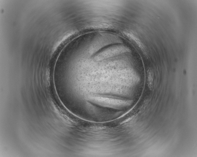 X0000088600684200706081353