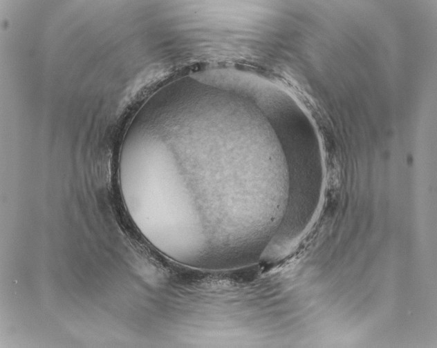 X0000088600685200706081353